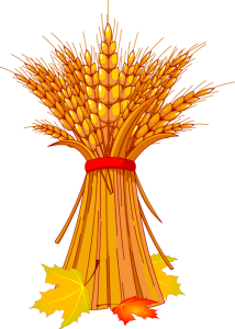 vippng.com-wheat-icon-png-1224349