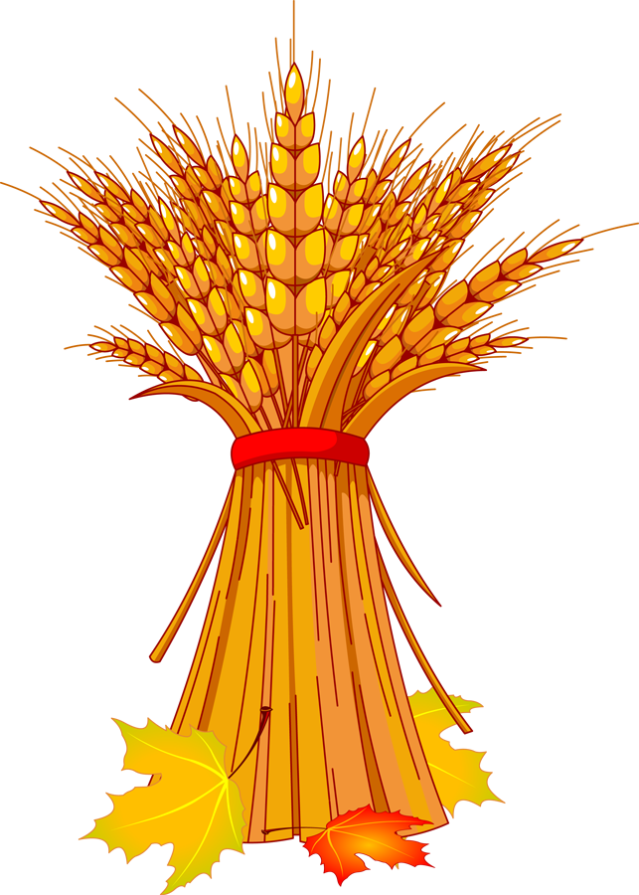 vippng.com-wheat-icon-png-1224349